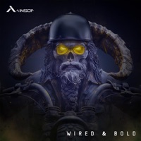 Wired & Bold - AINSOF, Elram Boxer, Liron Linker & Or Chausha