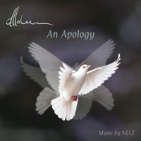 An Apology (feat. Frederik Magle) - Single - Maleen & Nelz