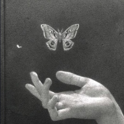 butterfly (feat. sino!) - Single