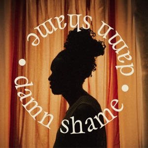 Damn Shame - Single