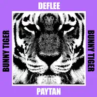 Paytan — Deflee
