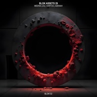 BLOK ASSETS 29 - Single - MEDINA (US), Kartos & Adenah