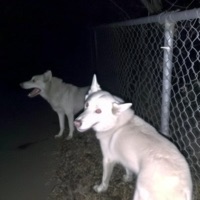 i like the way you kiss me (Hardstyle) - Single - Always Mirin & LEOJ