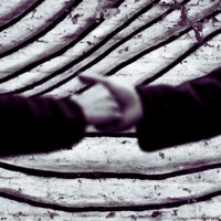 Wohin? (feat. Shilo Jr) - Single - Jabul