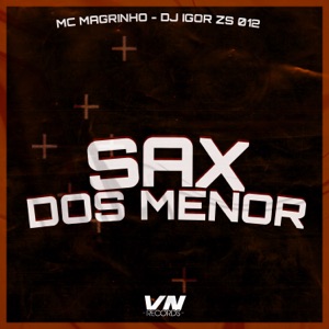 Sax dos Menor (feat. Mc Magrinho)