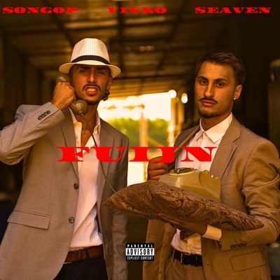 FUIJN (feat. Songop) - Single
