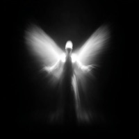 evolve - EP - NVSTLEX & Rxnxtx