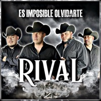 Es Imposible Olvidarte