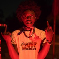 Q50 (feat. Fpc Lo) - Single - AceMula