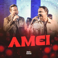 Amei (Ao Vivo) - Single - André e Adriano