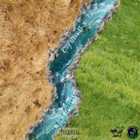 Grass Ain't Greener (feat. Mr.Tz) - Single - King Nane