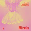 Humming Bird