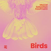 Humming Bird