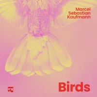 Humming Bird