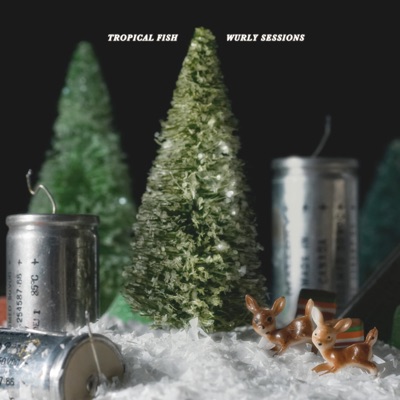 Tropical Fish - Walking on the Moon (Cover)