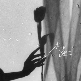 未遂 仙豆 & Zivy_唐子惠