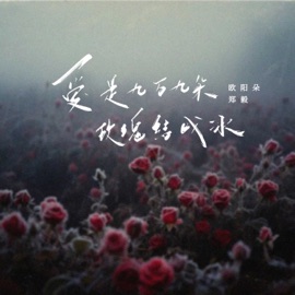 爱是九万九朵玫瑰结成冰 欧阳朵 & 郑毅