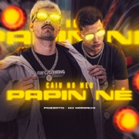 Caiu no Meu Papin Né - Single - DJ MARIACHI & POZZATO