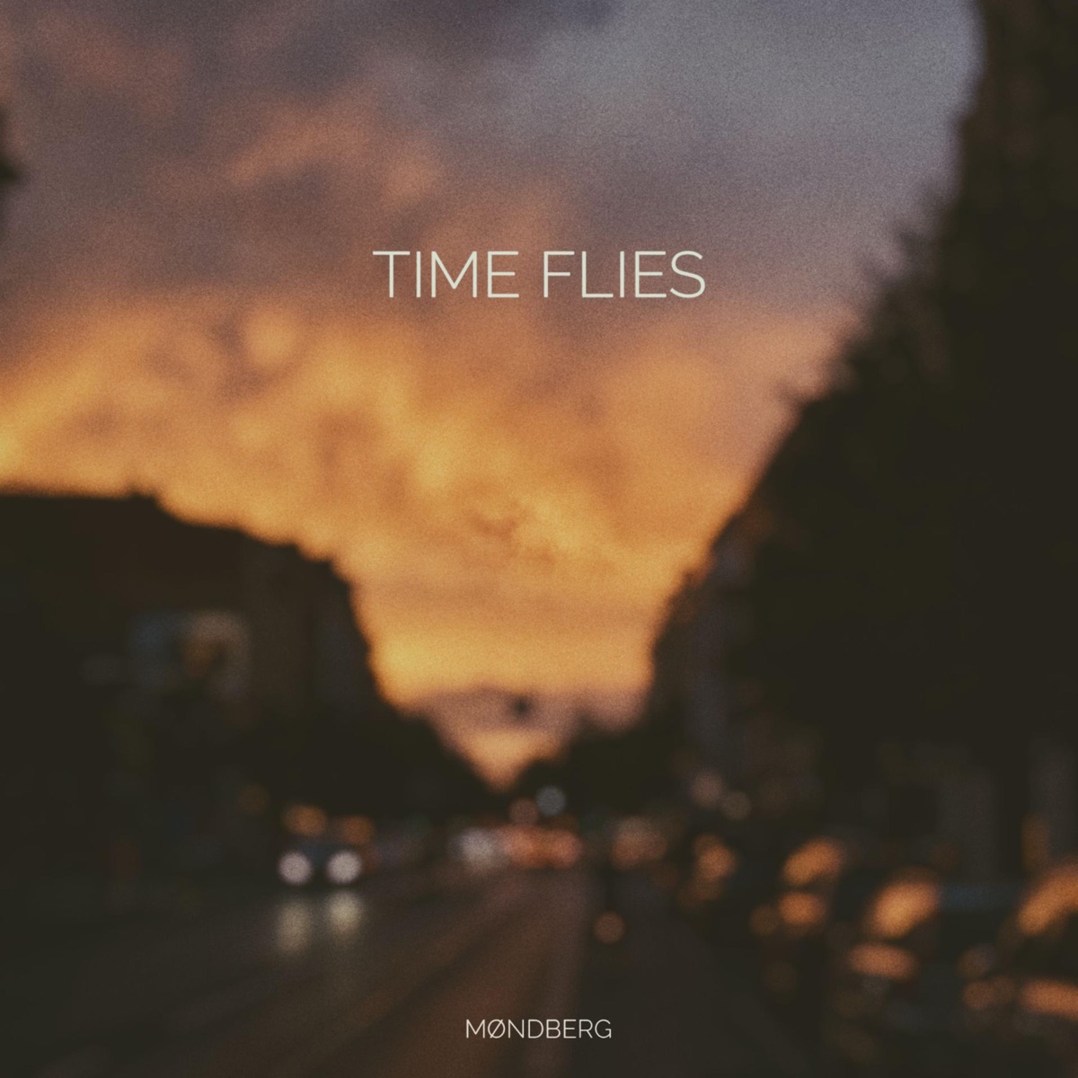 Time Flies - Single