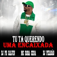 TU TA QUERENDO UMA ENCAIXADA - Single - MC Roba Cena, DJ PH CALVIN & Dj Pixadão