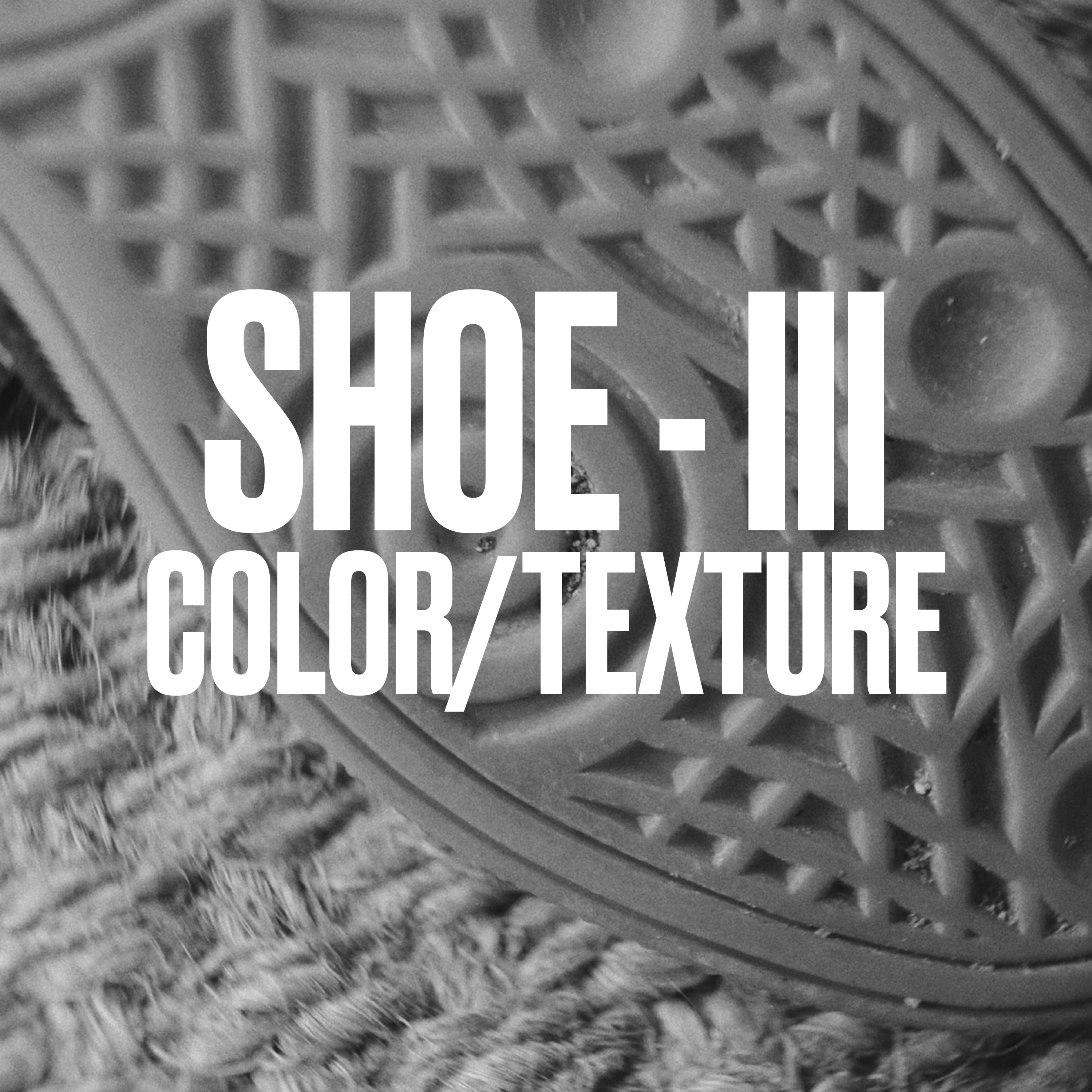 Shoe - III Color/Texture - Single
