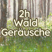 Vogelgezwitscher und Waldgeräusche für erholsamen Schlaf - Tierisch entspannt