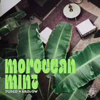 Moroccan Mint — yosev & Lazlow