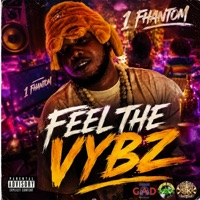 Feel The Vybz - Single - 1Fhantom