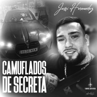 Camuflados de Secreta - Single - Flamenco Juan Heredia, Jarri Hernandez & Go Kico
