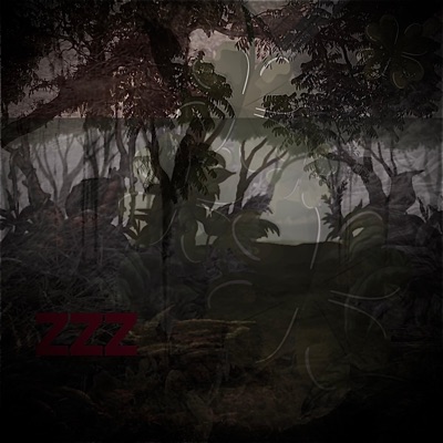 Zzz - Single