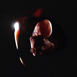 NIBIRU (ENDGAME REMIX) Prison Religion