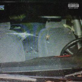 2001 Civic Kris Delano