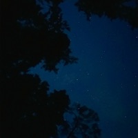 Ночь - Single - Данилевский