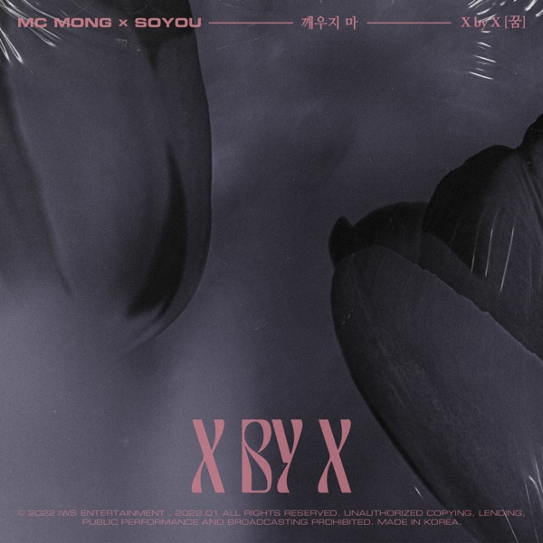 X by X [ Dream ] - Single