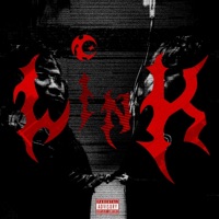 LinK (feat. Moso) - Single - Baby6ick & Snowz