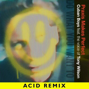 Praxis Makes Perfect (feat. the voice of Tony Wilson) [Acid Remix] - Single