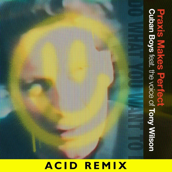 Praxis Makes Perfect (feat. the voice of Tony Wilson) [Acid Remix] - Single
