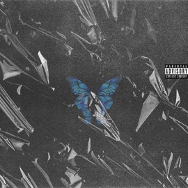 Serve My Aunt Lil Madd & RXLVND