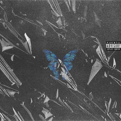 Metamorphosis EP - Single