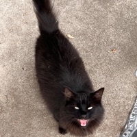 I'm not okay - Single - Robtop