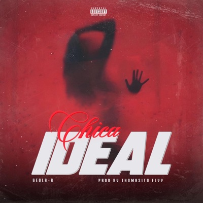 Chica Ideal (feat. Thomasito Flyy) - Single