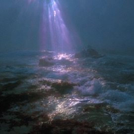 thought cycle veinwave
