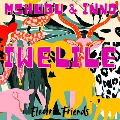 Iwelile - Single