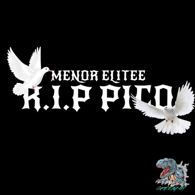 R.I.P PICO - Single