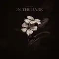 In the Dark