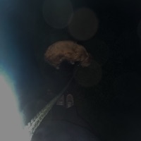 Solo X Amor - Single - ZAINT