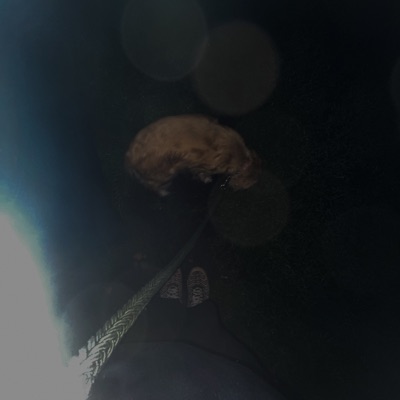 Solo X Amor - Single