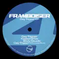 DAY TRIPPER