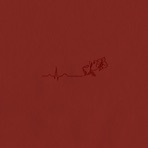Diamants m'appellent - Single