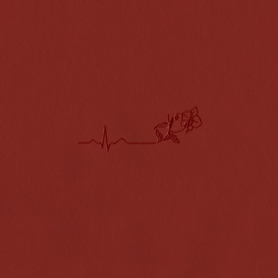 Diamants m'appellent - Single